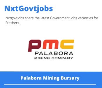 Palabora Mining Bursary 2023 Closing Date 31 Mar 2023