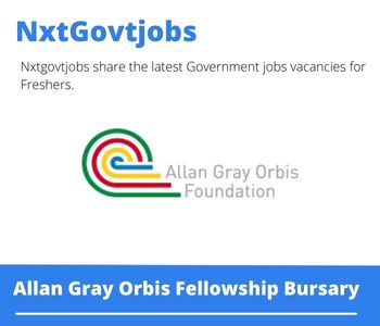 Allan Gray Orbis Fellowship Bursary